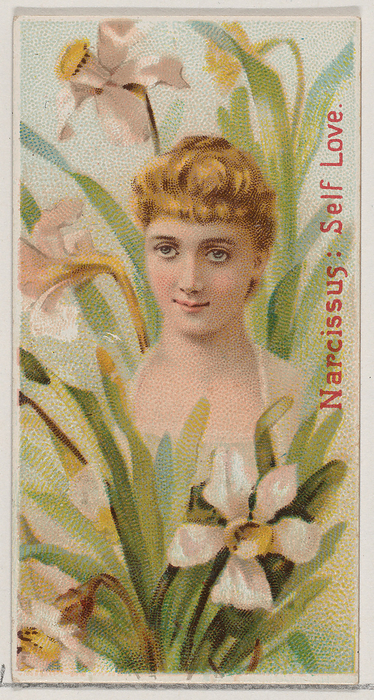 Narcissus: Self Love, from the series Floral Beauties and Language of Flowers  N75  for Du..., 1892. Creator: Donaldson Brothers. Narcissus: Self Love, from the series Floral Beauties and Language of Flowers  N75  for Duke brand cigarettes, 1892.