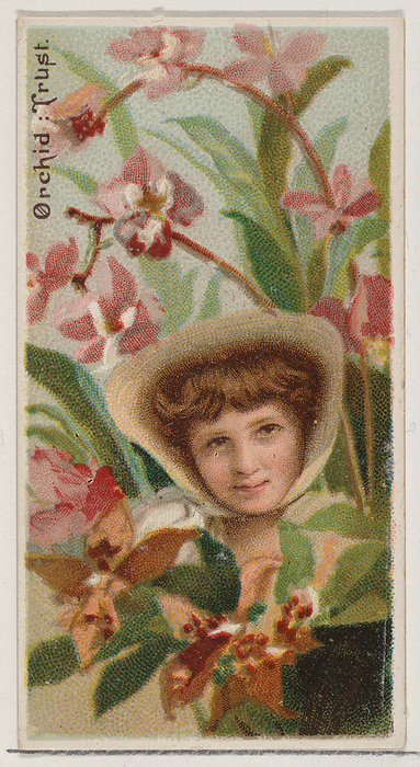 Orchid: Trust, from the series Floral Beauties and Language of Flowers  N75  for Duke bran..., 1892. Creator: Donaldson Brothers. Orchid: Trust, from the series Floral Beauties and Language of Flowers  N75  for Duke brand cigarettes, 1892.