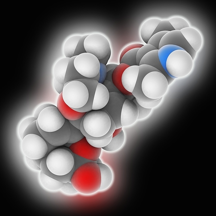 Batrachotoxin frog poison molecule Batrachotoxin. Molecular model of the alkaloid batrachotoxin  C31.H42.N2.O6 , a cardiotoxic and neurotoxic chemical found in poison dart frogs. Atoms are represented as spheres and are colour coded: carbon  grey , hydrogen  white , nitrogen  blue  and oxygen  red .