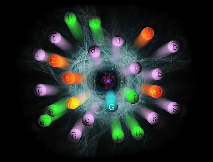 Subatomic Particles , illustration Subatomic particles. The various types of quarks are represented in violet. The various types of leptons are green and gauge bosons are orange. The Higgs boson is yellow.
