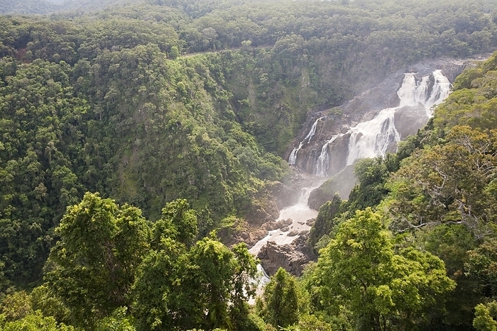 The Barron falls, Australia The Barron falls below Kuranda in the rainforest in Queensland, Australia.