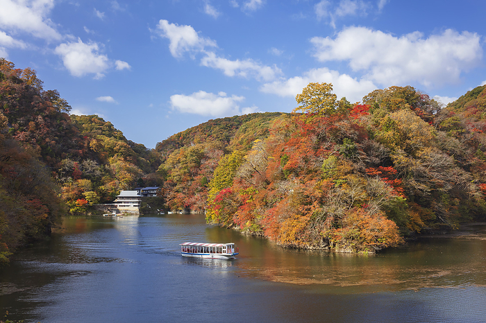 Autumn leaves and sightseeing boat at Lake Shinryu, Hiroshima Prefecture The camera is located in Shobara City and on the other side of the river is the town of Kamishikogen.