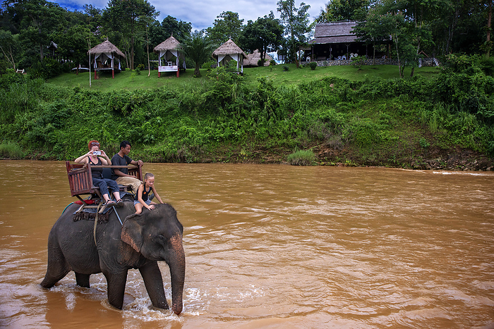 Laos A tourist and mahout ride an Elephant ride in Elephant Village Sanctuary   Resort, near Luang Prabang Laos