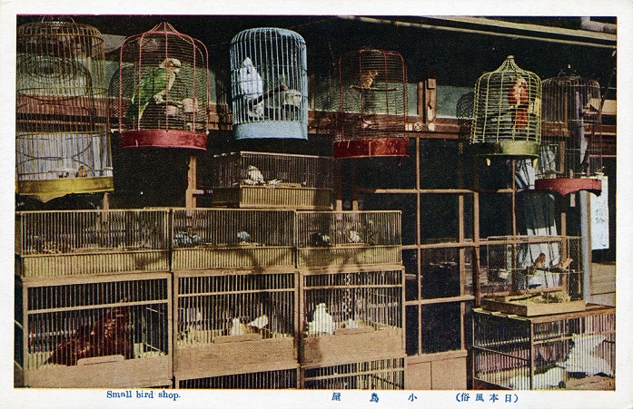 Birdhouse  Date of photograph unknown  A small shop selling birds. Birds used to be very popular pets in Japan, far more common than dogs and cats. This card is from a series called  Nihon Fuuzoku   Japanese Customs . The printing quality is not so good, but the series gives a great view on daily life in Japan during the early Showa Period  1925 1989 .