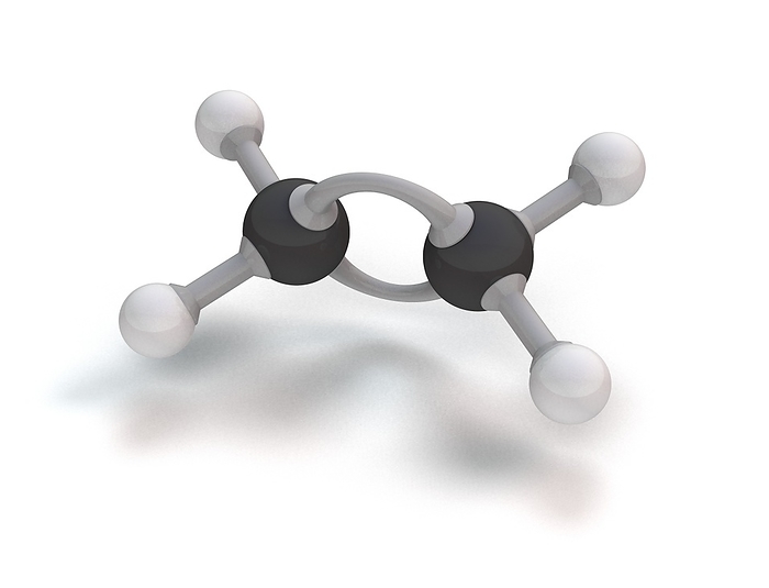 Ethene molecule, illustration Ethene molecule. Computer model showing the structure of a molecule of the hydrocarbon ethene  ethylene . Ethene is a colourless flammable gas and is the simplest of the alkenes  hydrocarbons with carbon carbon double bonds . It is the most important starting product in the petrochemical industry and is the raw material for a wide variety of products. Atoms are shown as colour coded spheres, with the bonds between them as rods. Carbon: black, hydrogen: white.