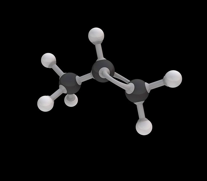 Propene molecule, illustration Propene molecule. Computer model showing the structure of a molecule of the hydrocarbon propene  propylene . Propene is a flammable gas and is the second simplest of the alkenes  hydrocarbons with carbon carbon double bonds  and the second most important starting product in the petrochemical industry after ethylene  ethene . It is the raw material for a wide variety of products. Atoms are shown as colour coded spheres, with the bonds between them as rods. Carbon: black, hydrogen: white.