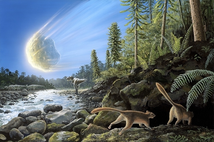 End of cretaceous KT event, illustration Illustration of the K T Event at the end of the Cretaceous Period. A ten kilometre wide asteroid comet is entering the Earth s atmosphere and a pair of mammals related to Purgatorius are diving to safety. A T. rex and a herd of hadrosaurs  Edmontosaurus  are exposed to the unfolding terrible event.