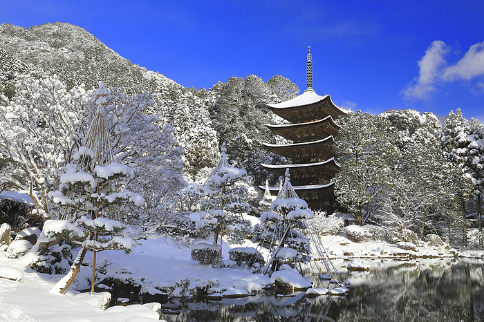 Ruriko ji Temple Snow covered five story pagoda and blue sky Yamaguchi Pref. A temple that conveys the Ouchi culture during the heyday of the Ouchi clan, centering on the five story pagoda, which is a national treasure.