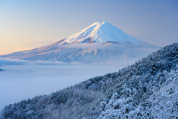 Yamanashi Prefecture Mt. Fuji and snowy landscape in a sea of clouds