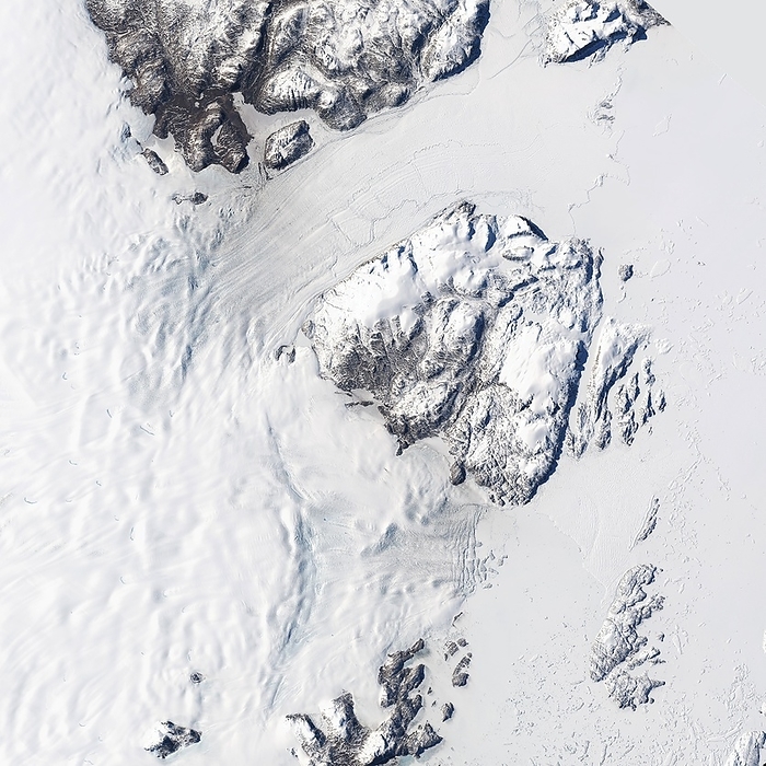 Melting Greenland glaciers, August 2014 Melting Greenland glaciers. Satellite image of the outlets of two large Greenland glaciers. Sea ice is at right. The coastline runs down centre. At upper left is the outlet of the Nioghalvfjerdsfjorden glacier. At lower centre is the outlet of the Zachariae Isstrom glacier. Research published in 2015 found that the latter has detached and is melting at a rate of 5 billion tons per year. The former is also melting, but at a slower rate. Together, they make up 12 percent of Greenland s ice sheet, and the complete collapse of both glaciers could raise sea levels by nearly half a metre. Image obtained on 20 August 2014 by the Landsat 8 satellite.