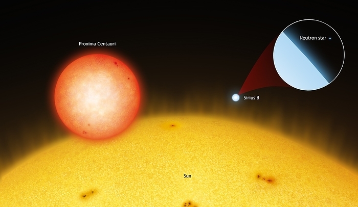 Sun compared to small stars The Sun compared to some smaller stars. The Sun  bottom  is a yellow dwarf with a diameter of about 1.4 million km. But most stars are far smaller. The most common stars in the universe are red dwarves, such as Proxima Centauri  centre left . It is only 12  of the diameter of the Sun. White dwarves, such as Sirius B  centre right , are much smaller and denser still, at around 0.8  of the diameter of the Sun   comparable to the Earth. And even smaller are the neutron stars  seen in the zoom . At 20 km across, they are the smallest  stars  in existence.