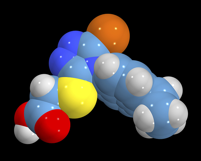 Lesinurad gout drug molecule Lesinurad gout drug molecule. Computer illustration showing the structure of a molecule of the urate transporter inhibitor lesinurad. Lesinurad is used to treat abnormally high levels of uric acid in the blood  hyperuricemia  of patient s with gout. Atoms are represented as colour coded spheres: carbon  grey , hydrogen  white , bromine  brown , nitrogen  blue , oxygen  red , sulphur  yellow .