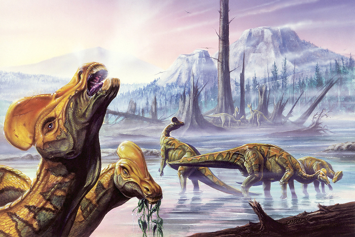 Illustration of three Corythosauruses Illustration of three Corythosauruses in wetlands.