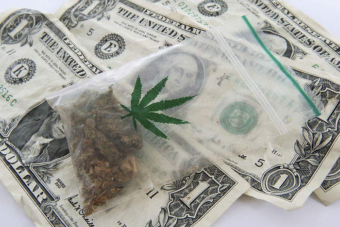 Marijuana and US banknotes Marijuana and US banknotes. Plastic zip lock bag containing marijuana  Cannabis sp.  on a background of US dollar bills. This plant has numerous therapeutic effects, and is sometimes used by cancer patients undergoing chemotherapy for its ability to reduce nausea and stimulate the appetite. However, its most common use is as a recreational drug.