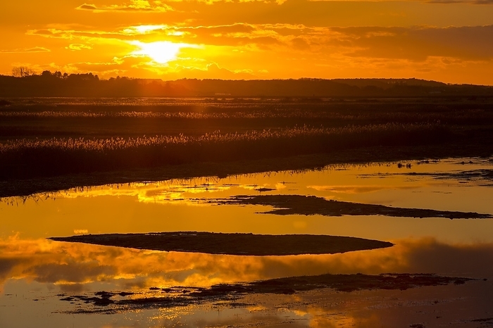 Salt marsh at sunset, Norfolk, UK Salt marsh at sunset in Cley Next the Sea, North Norfolk, UK.