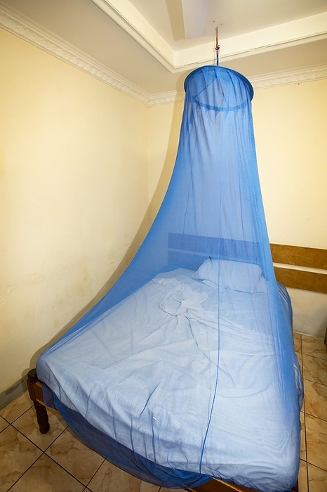 Mosquito net over a bed A mosquito net over a bed in a bedroom in a cheap hotel in Chikwawa, Malawi.
