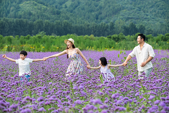 family Play in the flower sea happy family of four