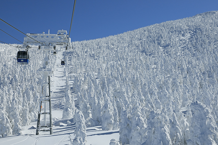 Zao Ropeway and the Zao Ice Forest in Yamagata Prefecture .