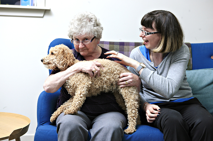 Dementia animal therapy Dementia animal therapy. Woman with dementia and a community worker with a dog at a community resource centre. Dementia is a general term for conditions that lead to changes in a person s ability to think, remember and function. The symptoms include memory loss, personality changes and confusion. Interacting with an animal is an example of an activity that helps stave off the effects of dementia. This dog is based at the Kilmarnock Resource Centre, in Ayrshire, Scotland. This centre includes community based support for those with a diagnosis of dementia, both under and over the age of 65. The resource centre offers a wide variety of groups and activities, as well as support from a dementia advisor and a dementia social worker. Photographed in 2016.