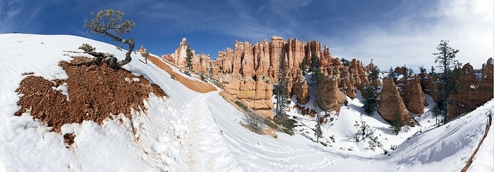 Bryce Canyon National Park, Utah, USA Sandstone hoodoos in the Queen s Garden district of Bryce Canyon National Park, Utah, USA. Hoodoos are composed of sedimentary rock vertically eroded by rainwater over time, gradually forming spires. After a snowstorm snowmelt is more intensive on south facing slopes.