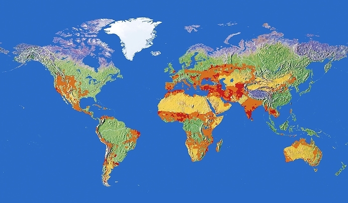Risk of human induced desertification, global map Risk of human induced desertification. Global map of the Earth, colour coded to show areas at risk of desertification due to human activities. Current deserts are shown in yellow, with areas with a moderate risk of becoming deserts in the future shown in orange, and areas with a high risk shown in red.