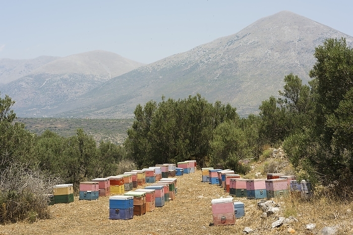 Beehives, Mani, Greece. Beehives in Mani, Greece.