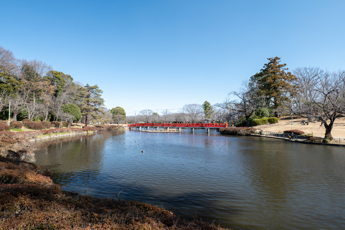 Pond and eight bridges in Iwatsuki Joshi Park, Saitama City, Saitama Prefecture