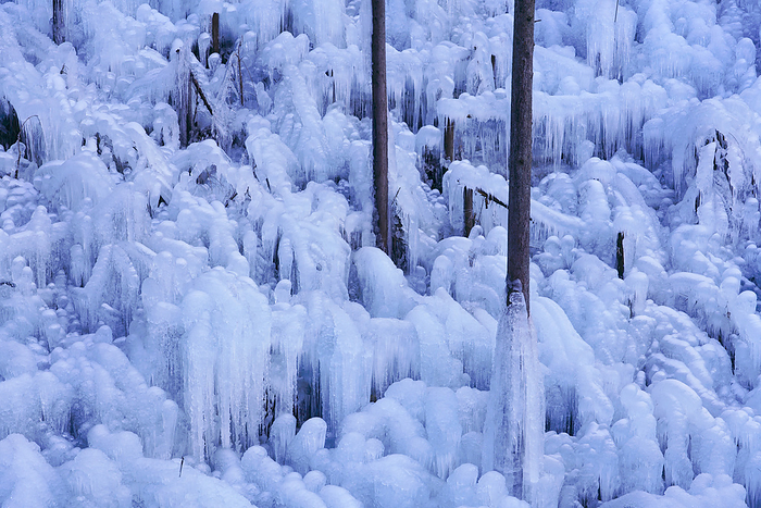 Ashigakubo icicles, Saitama Prefecture