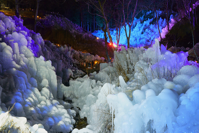 Night view of illuminated icicles in Ashigakubo, Saitama Prefecture