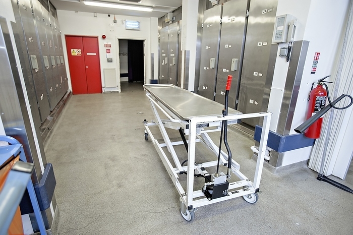 Mortuary Mortuary. Hydraulic body lifting trolley and body tray, with refrigerated chambers  silver, background  used to hold dead bodies awaiting an autopsy.