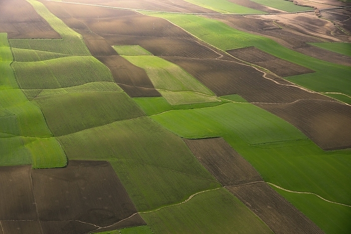 Arable farmland, Spain, aerial photograph Aerial photograph of arable farmland, Province of Seville, Andalucia, Spain.