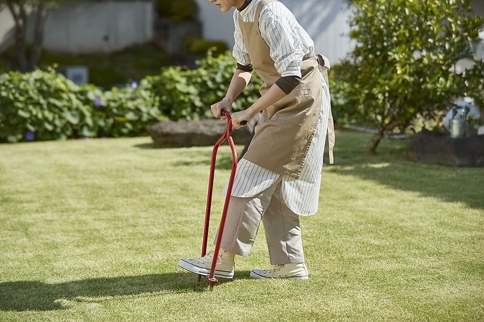 Japanese woman aerating a lawn