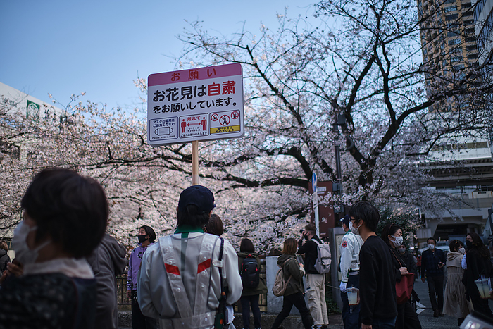 Tokyo, Sakura season A private security guard holds a board sign asking to respect social distancing on the cherry blossom viewing spot on March 23, 2021 in Tokyo, Japan. Tokyo central government asks citizens to refrain to have party under cherry blossom trees  called Hanami in Japanese  and to keep social distancing inside park. March 23, 2021  Photo by Nicolas Datiche AFLO   JAPAN 