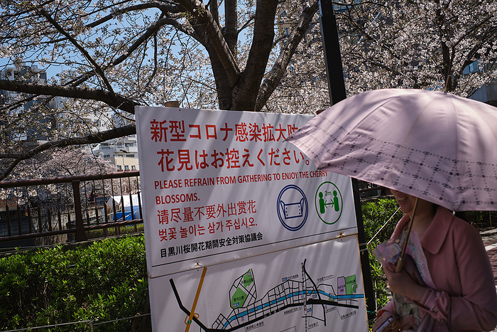 Tokyo, Sakura season A city hall placard asks people to refrain to gather for any party or picnic on March 23, 2021 in Tokyo, Japan. Tokyo central government asks citizens to refrain to have party under cherry blossom trees  called Hanami in Japanese  and to keep social distancing inside park. March 23, 2021  Photo by Nicolas Datiche AFLO   JAPAN 