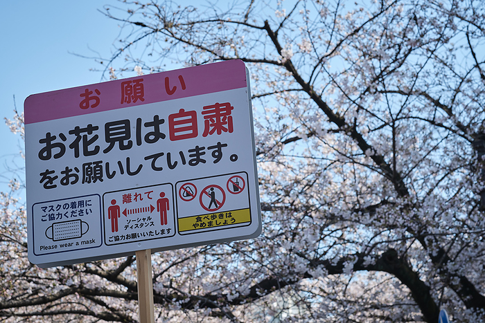 Tokyo, Sakura season Board sign asking to respect social distancing on the cherry blossom viewing spot on March 23, 2021 in Tokyo, Japan. Tokyo central government asks citizens to refrain to have party under cherry blossom trees  called Hanami in Japanese  and to keep social distancing inside park. March 23, 2021  Photo by Nicolas Datiche AFLO   JAPAN 