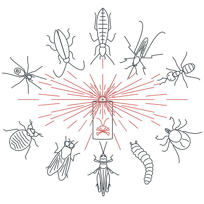 Common pests, conceptual illustration Common pests, conceptual illustration., by ART4STOCK SCIENCE PHOTO LIBRARY