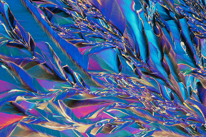 Water treatment and agricultural chemicals, light micrograph Water treatment and agricultural chemicals, polarised light micrograph. Ferric ammonium sulphate  FAS  is used in waste water treatment and as an etching agent in the production of electronic components. This is mixed with potash which is a potassium rich salt which is essential for agriculture to increase plant yield. Magnification: x70 when printed 10cm wide., by KARL GAFF   SCIENCE PHOTO LIBRARY