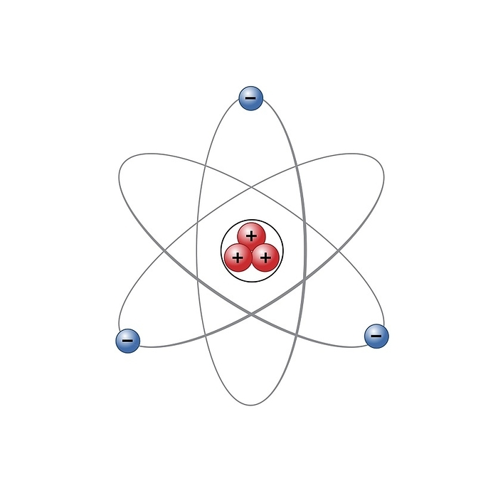Lithium atom, illustration Atomic structure of a lithium atom, illustration. In the centre of the atom is the nucleus, made up of a tightly packed cluster of protons  red  and neutrons. Three electrons  blue  are orbiting around the nucleus. The electrons each have a negative charge, which is balanced by positively charged protons in the nucleus. This classical model is known as the Bohr Model, after the Danish physicist Neils Bohr. However, in modern quantum physics it has proved impossible to precisely locate the position of atomic electrons. Instead they are represented by fuzzy clouds, large areas within which there is a high probability of an electron being found., by SCIENCE PHOTO LIBRARY