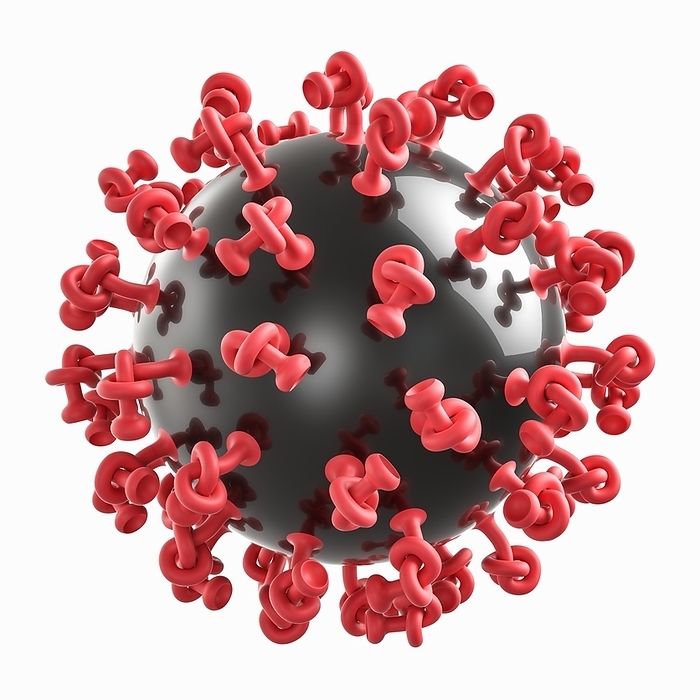 Neutralized virus capsid, illustration Neutralized virus capsid, conceptual illustration. The knots in the virus spikes convey the idea of a virus that has been neutralized by a vaccine., by LAGUNA DESIGN SCIENCE PHOTO LIBRARY