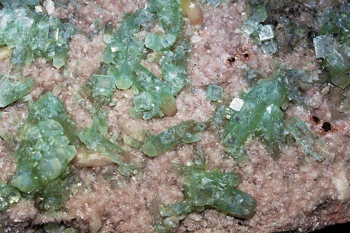 Apophyllite Apophyllite is a collective name for a group of phyllosilicate minerals, including the members fluorapophyllite, hydroxyapophyllite and natroapophyllite. These minerals are mostly found in igneous rock environments. They are popular with mineral collectors but have no industrial use. This sample shows prismatic crystals of fluorapophyllite on a substrate of microcrystalline stilbite, a tectosilicate mineral that belongs to the zeolite group of minerals. Actual width of specimen is 120 mm. Provenance is Pune  Poona  district of Maharashtra, India., by DIRK WIERSMA SCIENCE PHOTO LIBRARY