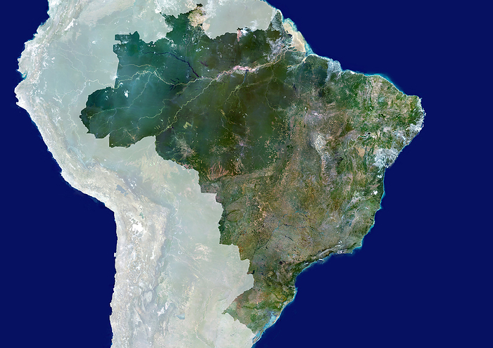 Brazil, satellite image Brazil, satellite image. North is at top. Brazil is the largest country in South America. It shares borders with every country in South America with the exception of Chile and Ecuador. Brazil is home to the world s largest tropical rainforest, the Amazon  dark green, upper left . The Amazon basin is the most biodiverse area on Earth and the Amazon itself is the world s second longest river. The Atlantic coast of Brazil is home to the country s largest cities Sao Paulo and Rio de Janeiro  bottom right . The country s capital city, Brasilia  pink area, centre  is landlocked.