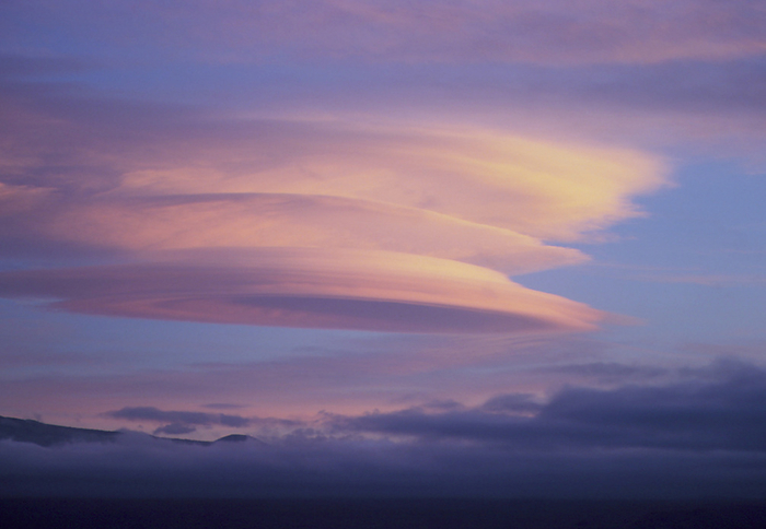 Stack of lenticular clouds over Mauna Kea, Hawaii Lenticular clouds. Stack of lenticular clouds, named for their smooth lens like shapes, seen over a mountain. Lenticular clouds often occur in vertical piles or stacks as here. They are produced when moist air ascends over a mountain, and air waves form on the lee side of the mountain. As the wind rises and moisture is present in the air lenticular clouds rise up. If alternate layers of moist and dry air are present, the clouds form into a stack. Photographed over the Mauna Kea volcano, Hawaii, from Waimea, after a storm on 29 December 1996. The summit of Mauna Kea is 4205 metres above sea level.