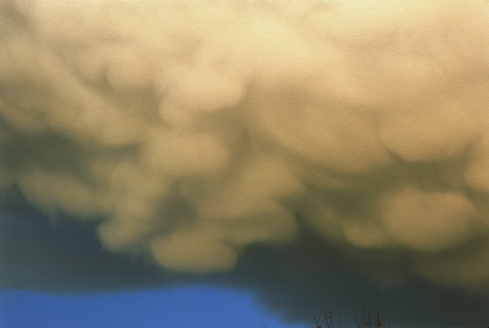 Mammatus formation under a cumulonimbus cloud Mammatus cloud. View of mammatus cloud formation underneath a cumulonimbus thundercloud. The mammatus forms are the hanging protruberances  the name comes from the latin word mamma meaning breast . These pouch formations undergo rapid swirling movements and indicate extreme turbulence and convection within the cloud. These clouds are associated with turbulent and stormy weather.