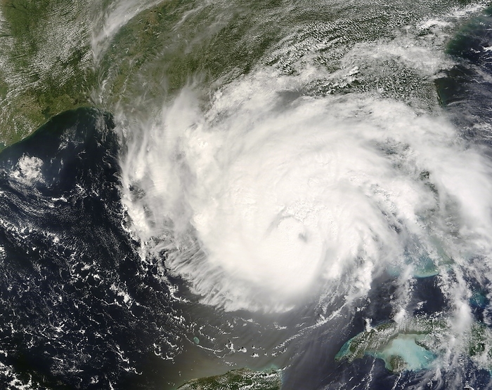 Hurricane Gustav, 31st August 2008 Hurricane Gustav, satellite image. North is at top. Image obtained on 31st August 2008 at 16:45 UTC, showing Gustav moving east to west towards Louisiana, USA. The land at right of the hurricane s eye is the Florida Peninsula. Gustav was a category 4 hurricane with wind speeds of 240 kilometres per hour  km h  but on 31st August it dropped to a category 3 level with wind speeds of 185km h. On 1st September at 14:30 UTC  09:30 local time , the eye of Gustav made landfall on the Louisiana coast as a category 2 hurricane  175km h . As of 1st September, 97 deaths have been attributed to Gustav in the USA and Caribbean. Image from the MODIS instrument on NASA s Terra satellite.
