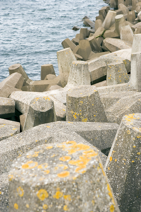 Coastal defence Coastal defence. Precast concrete blocks along a shore. This type of sea defence is known as rock armour. The piles of concrete dissipate the energy of the waves, reducing coastal erosion. Photographed at Torness Point, Scotland, UK.