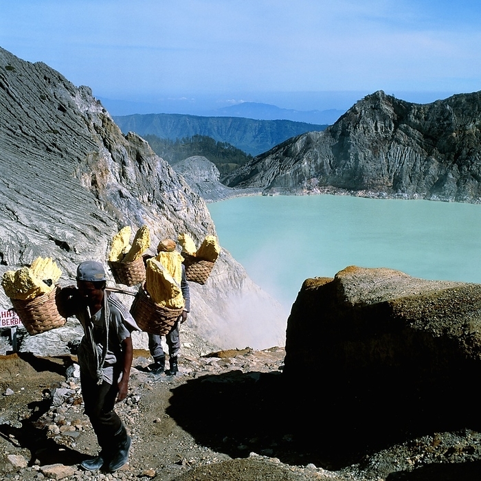 Men carrying mined sulphur from volcanic crater Volcanic sulphur mining. View of men carrying baskets of sulphur after taking it from deposits around a crater lake at Kawah Ijen volcano, Java, Indonesia. Elemental sulphur is produced around volcanoes as hot sulphur containing gases from volcanic vents condense and form deposits when they contact the cooler air. Gas from a sulphurous vent can be seen rising behind the men. Crater lakes such as this one are formed when a giant volcanic eruption leaves a crater which becomes filled with water. The water is typically hot, highly acidic and rich in sediment, which leads to its vivid colouration.