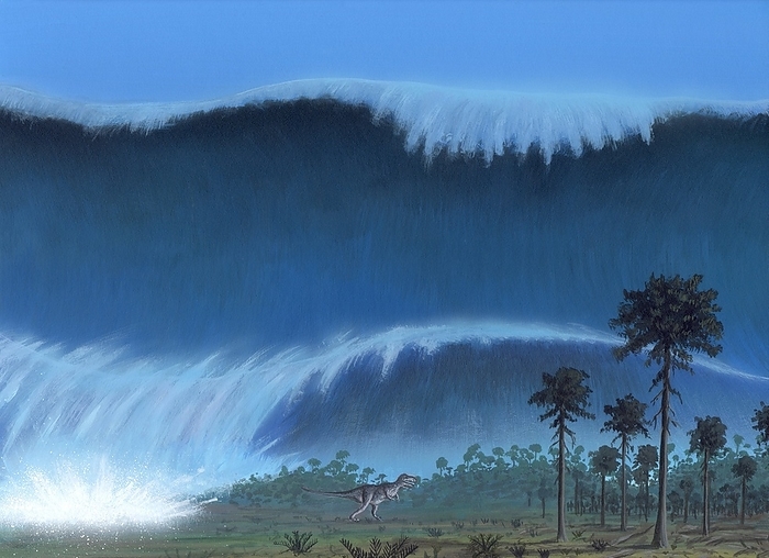 Cretaceous Tertiary extinction event Cretaceous Tertiary extinction event. Image 6 of 8. Artwork of a tsunami engulfing a dinosaur  lower centre  after an asteroid impact. This is the asteroid impact that is thought to have caused the extinction of the dinosaurs. The collision took place around 65 million years ago, marking the end of the Cretaceous period and the beginning of the Tertiary period. The impact took place at sea, sending tsunamis  massive waves  around the globe, destroying coastal areas. Water vapour thrown into the atmosphere lowered global temperatures. Plant and then animal life began to die off. The dinosaurs never recovered, and mammals rose to become the dominant form of life. For the sequence, see images E402 173 to E402 180.