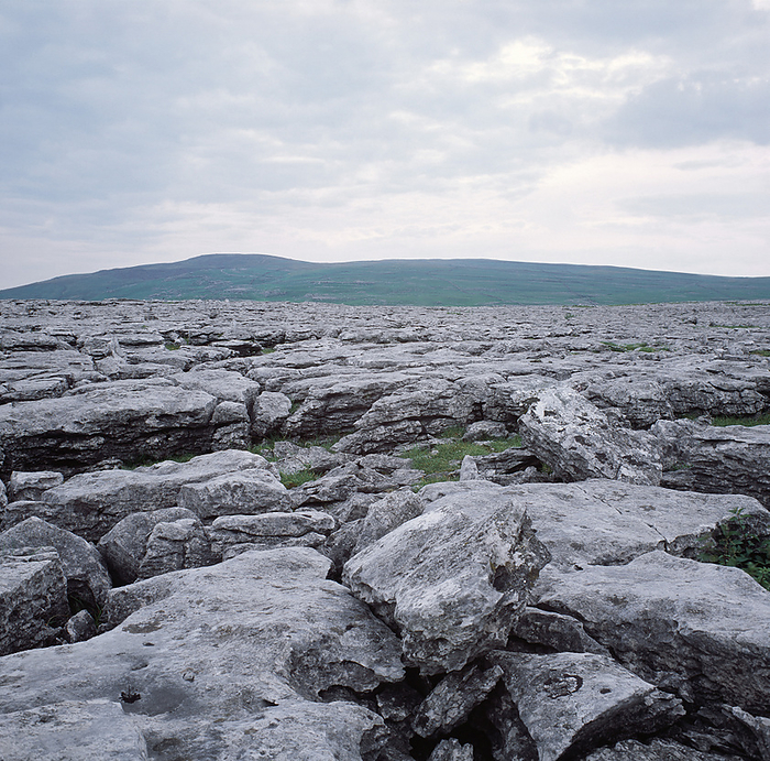 Limestone pavement Limestone pavement. This is a rock formation caused by the erosion of limestone blocks. It is made up of clints  rock ridges  and grykes  clefts between ridges . The pavement formation is typical of a Karst landscape. This is a type of topography produced by percolating ground waters and underground streams. Photographed in Malham, North Yorkshire, England.