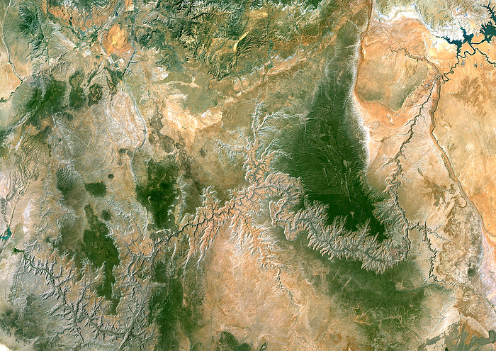 Glen Canyon, satellite image Glen Canyon, USA, satellite image. North is at top. Glen Canyon  mostly across bottom  has been carved from the surrounding desert rocks  light brown  by the Colorado River. Patches of vegetation  green  are also seen. The damming of the river has formed Lake Powell  top right . This lake is on the border between Utah  to the north  and Arizona  to the south , and is the second  largest man made reservoir in the USA. Image data obtained on 22 June 1991.