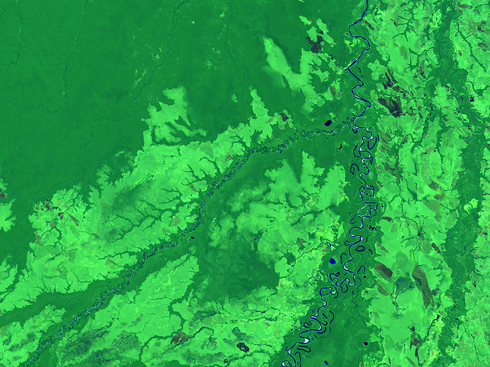 Bolivian jungle Bolivian jungle. Coloured satellite image of jungle in northern Bolivia. North is at top. Tropical jungle is dark green, with scrubland light green. The water of the rivers Rio Bene  running north  and Rio Madidi  running north  east  is blue. River deposits are white. The data for this image were captured in August 1993 by the Thematic Mapper on the US satellite Landsat 5.